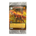 Pack 2 Cartes Promotionnelles