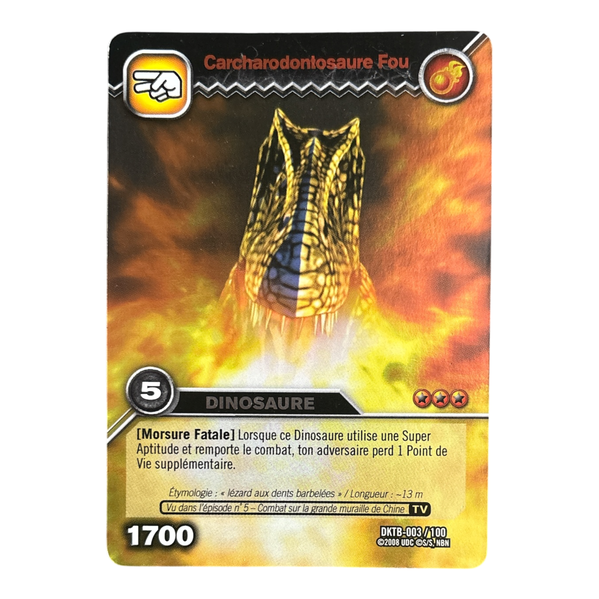 DKTB-003 Carcharodontosaure Fou