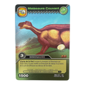 DKAA-032 Maiasaura Couvant