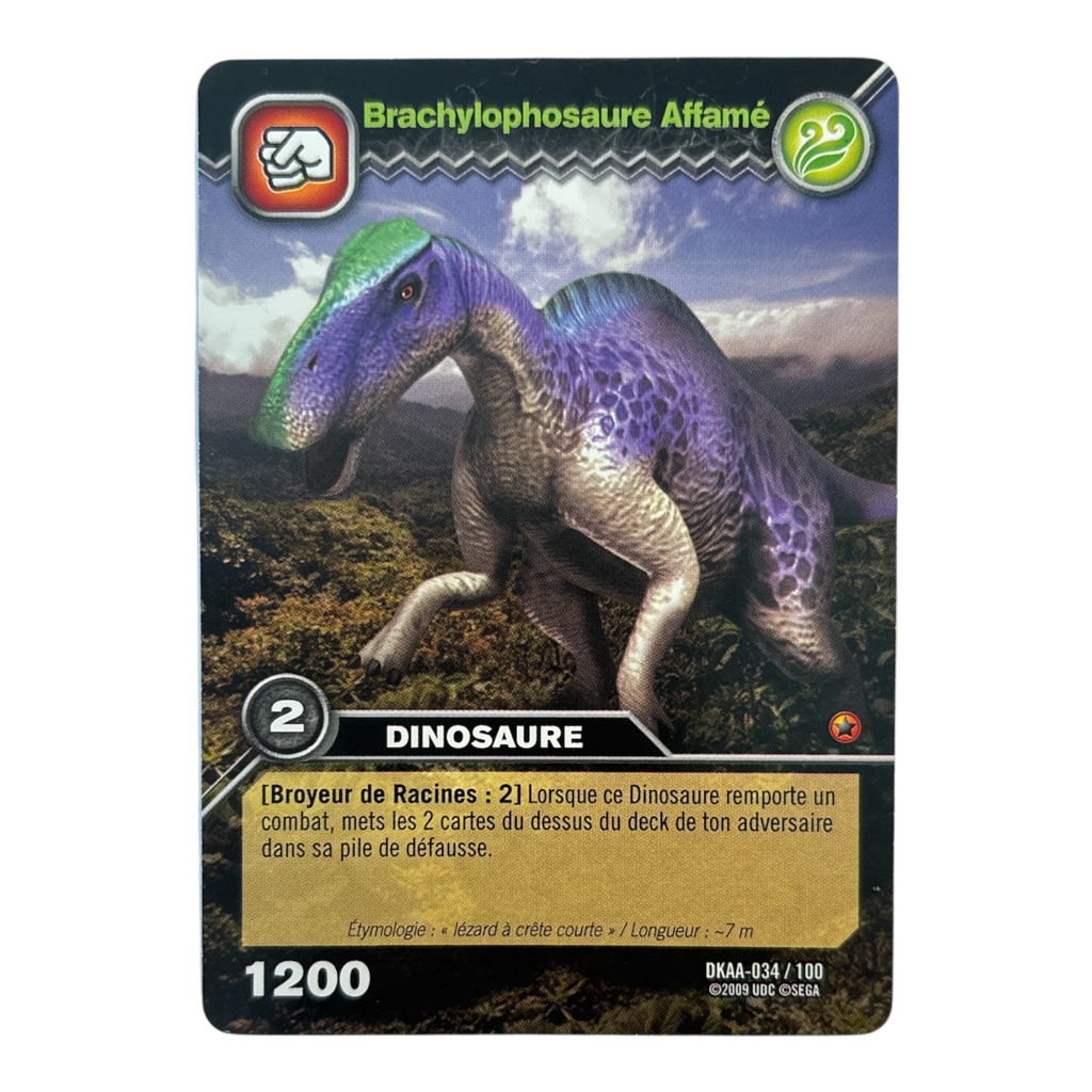 DKAA-034 Brachylophosaure Affamé