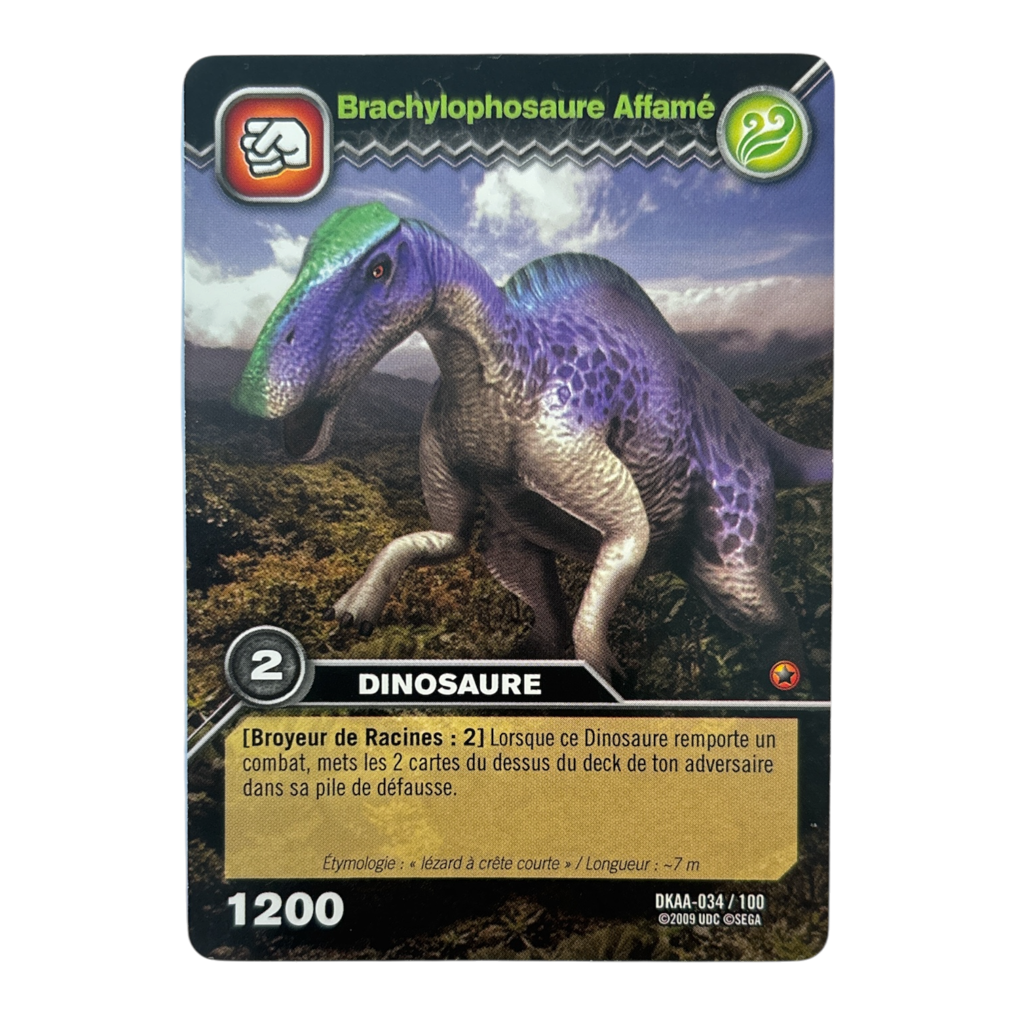 DKAA-034 Brachylophosaure Affamé