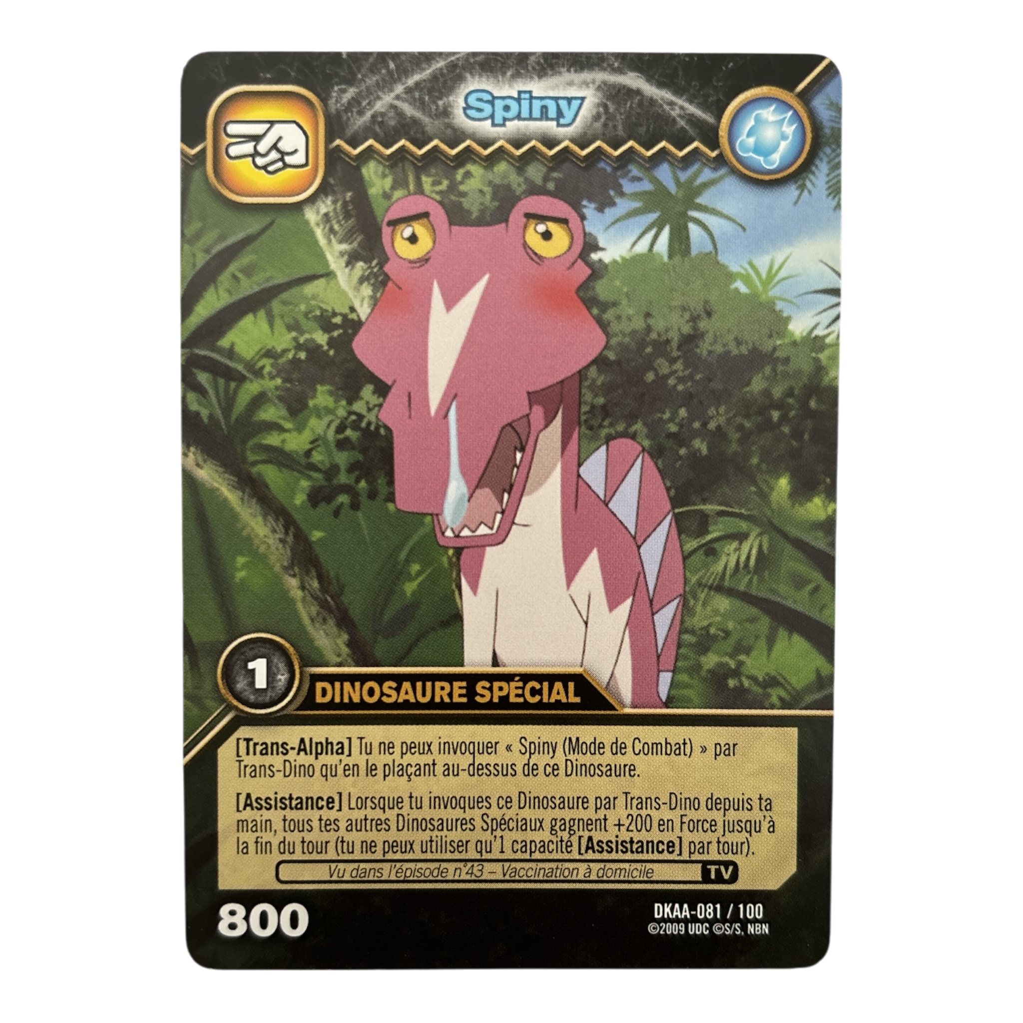 DKAA-081 Spiny