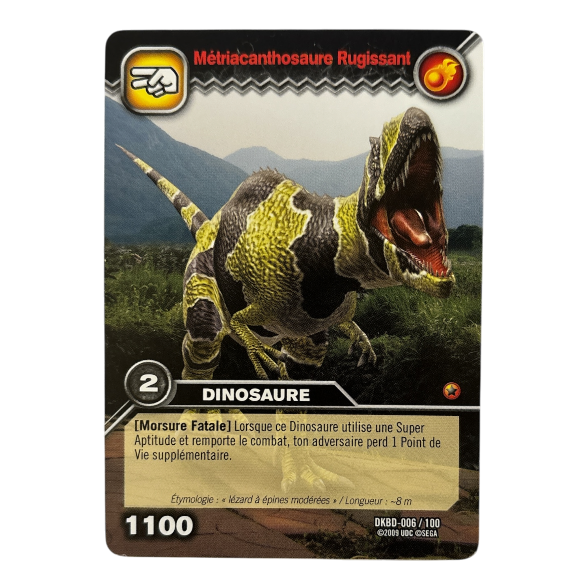 DKBD-006 Métriacanthosaure Rugissant