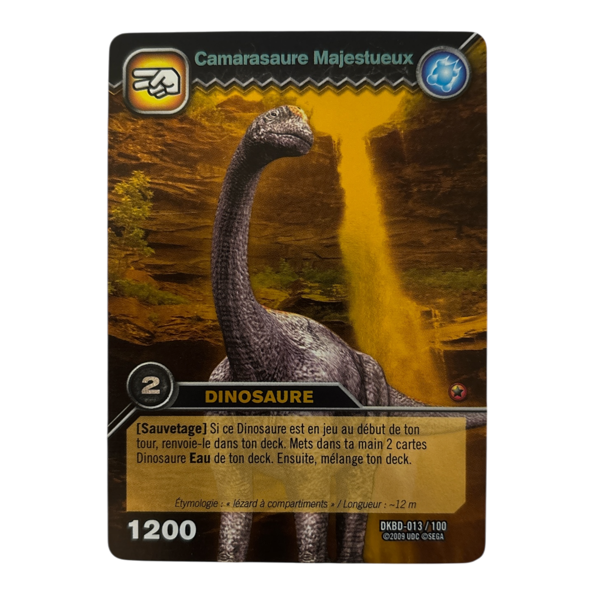 DKBD-013 Camarasaure Majestueux