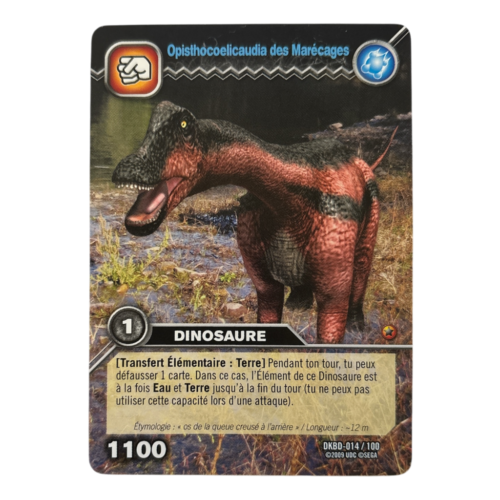 DKBD-014 Opisthocoelicaudia Des Marécages