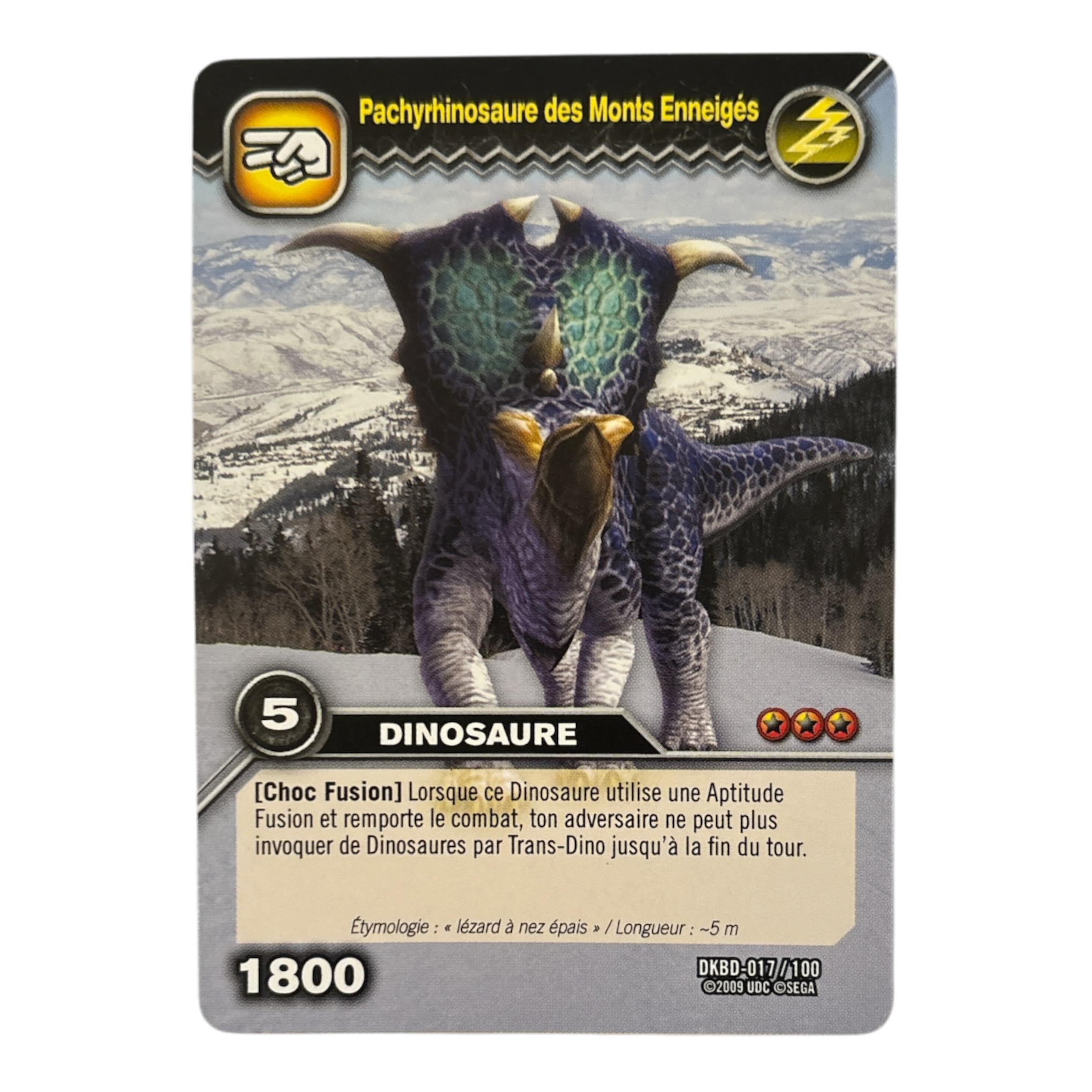 DKBD-017 Pachyrhinosaure Des Monts Enneigés