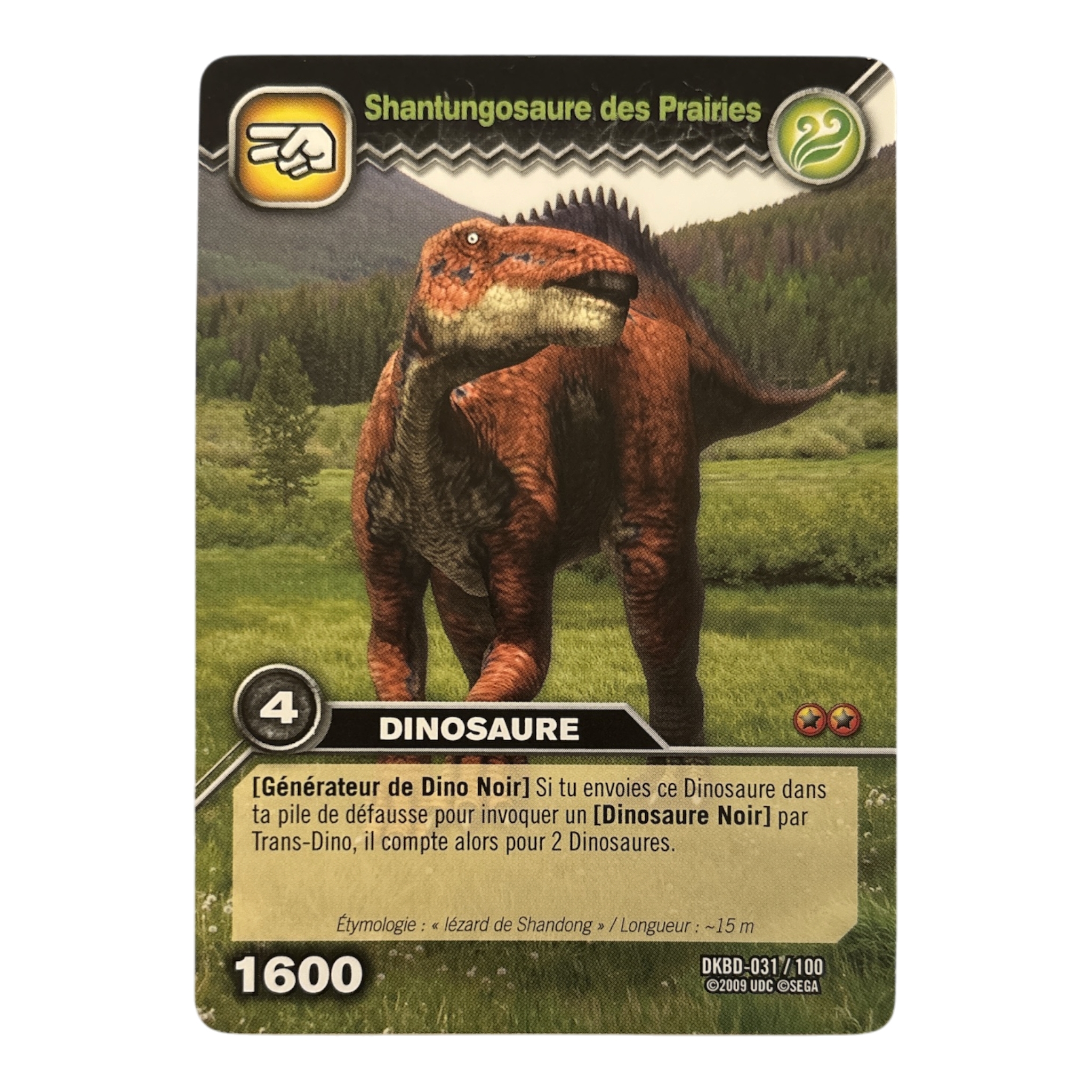 DKBD-031 Shantungosaure Des Prairies