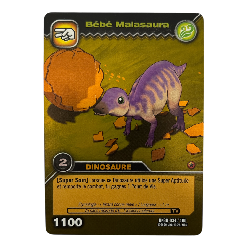 DKBD-034 Bébé Maiasaura