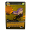 DKBD-034 Bébé Maiasaura