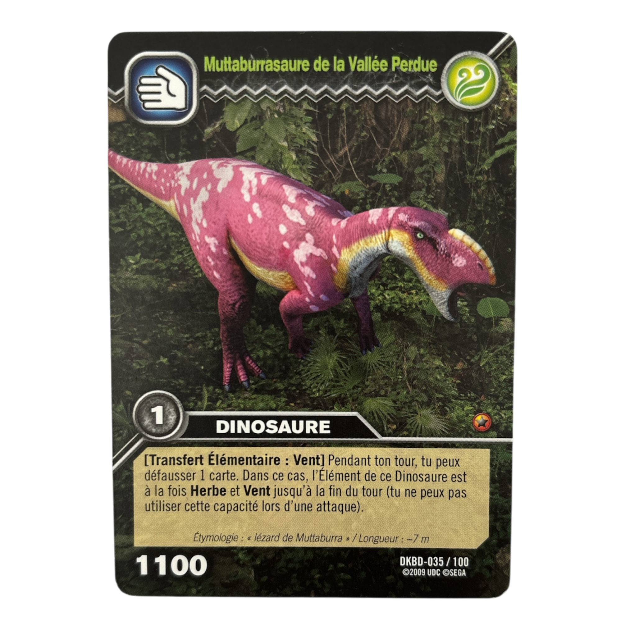 DKBD-035 Muttaburrasaure De La Vallée Perdue