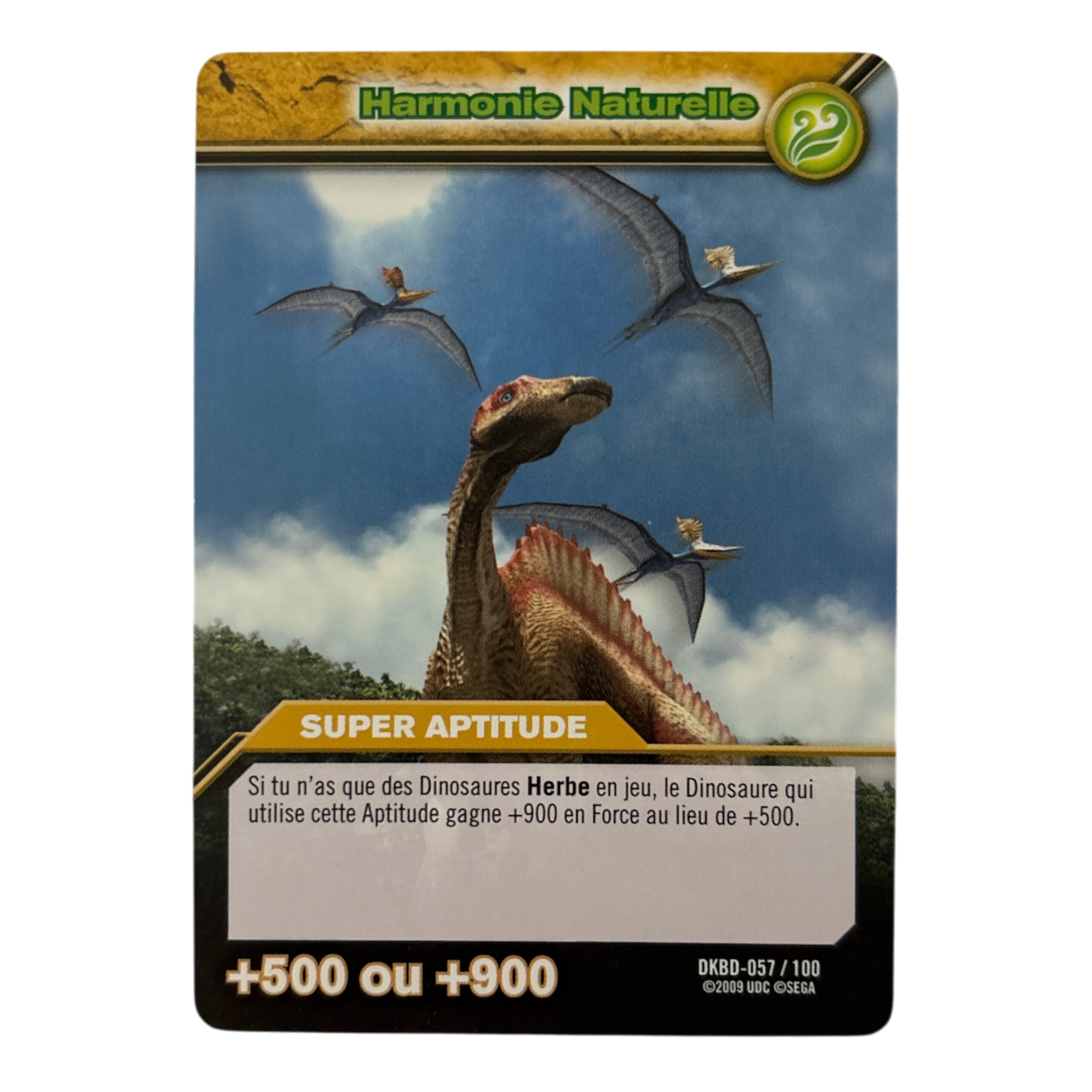 DKBD-057 Harmonie Naturelle