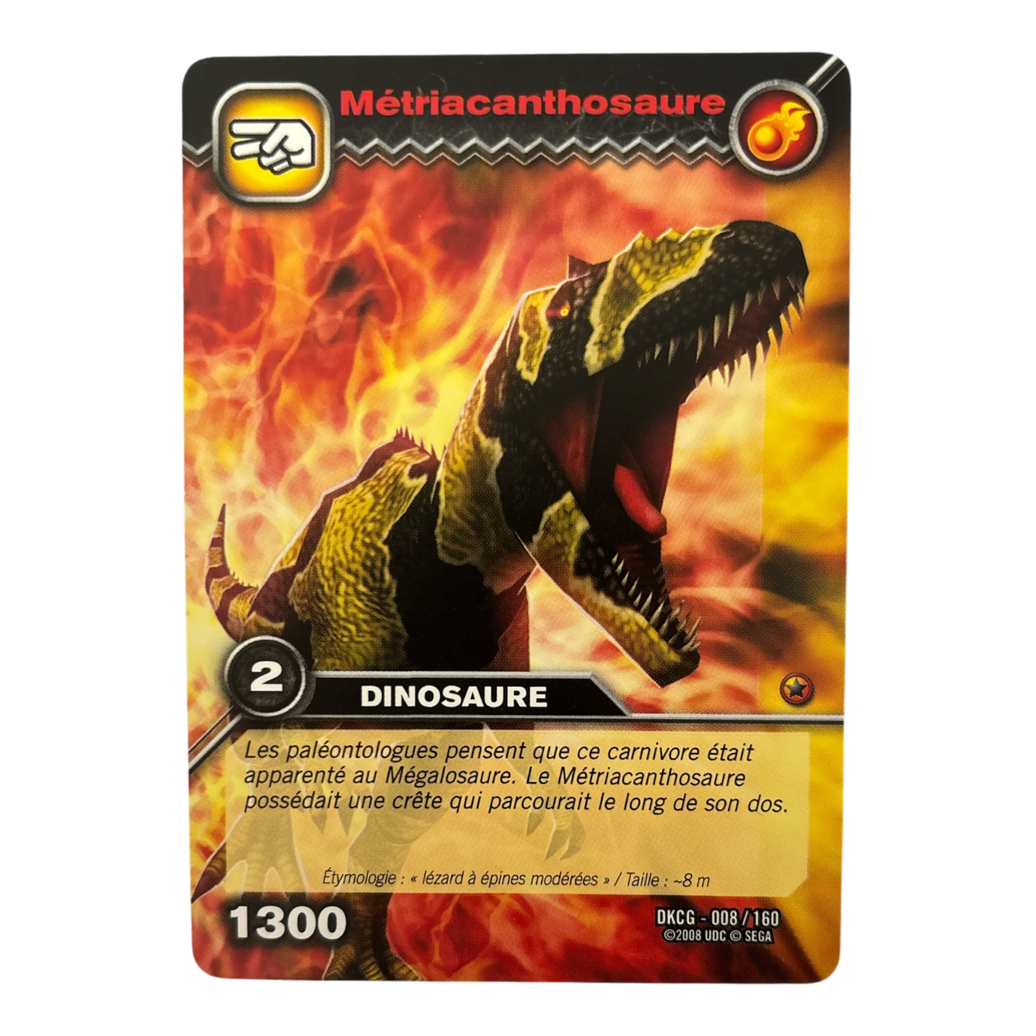 DKCG-008 Metriacanthosaure