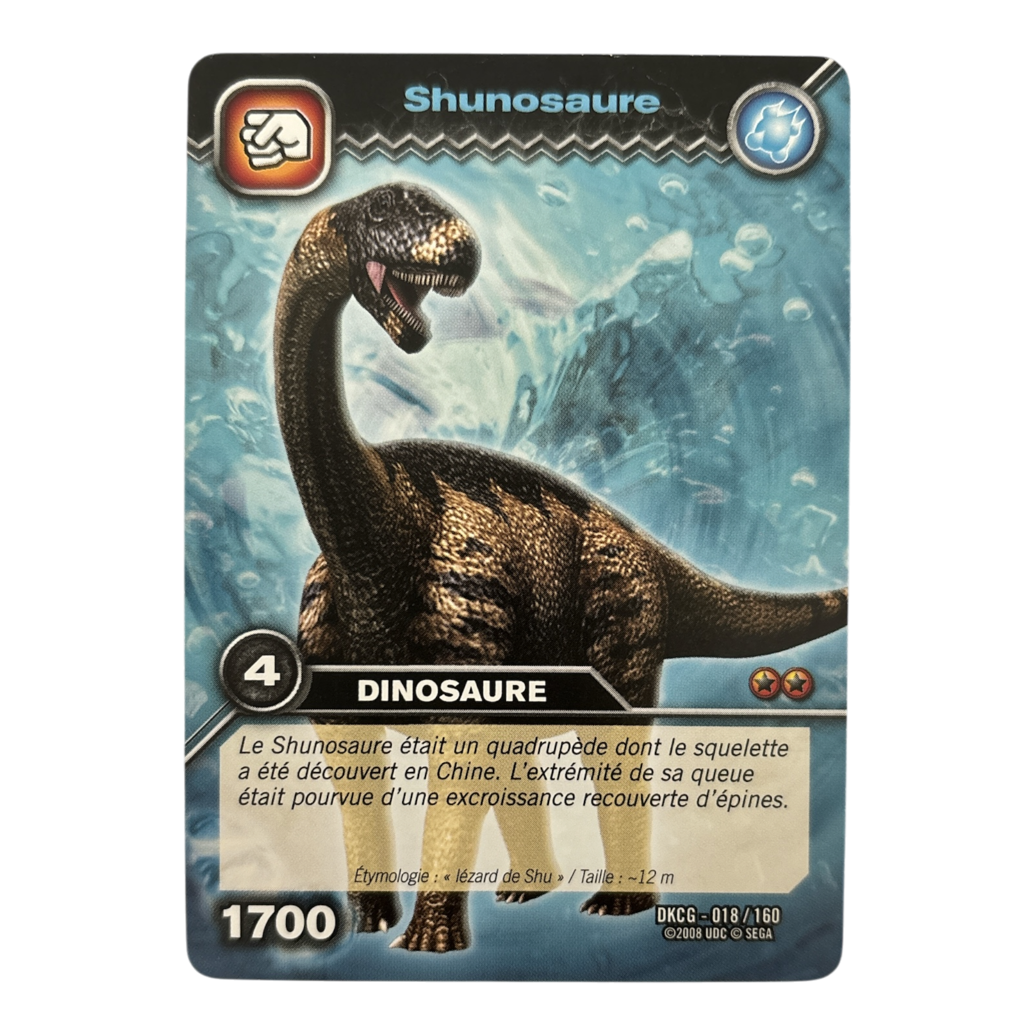 DKCG-018 Shunosaure