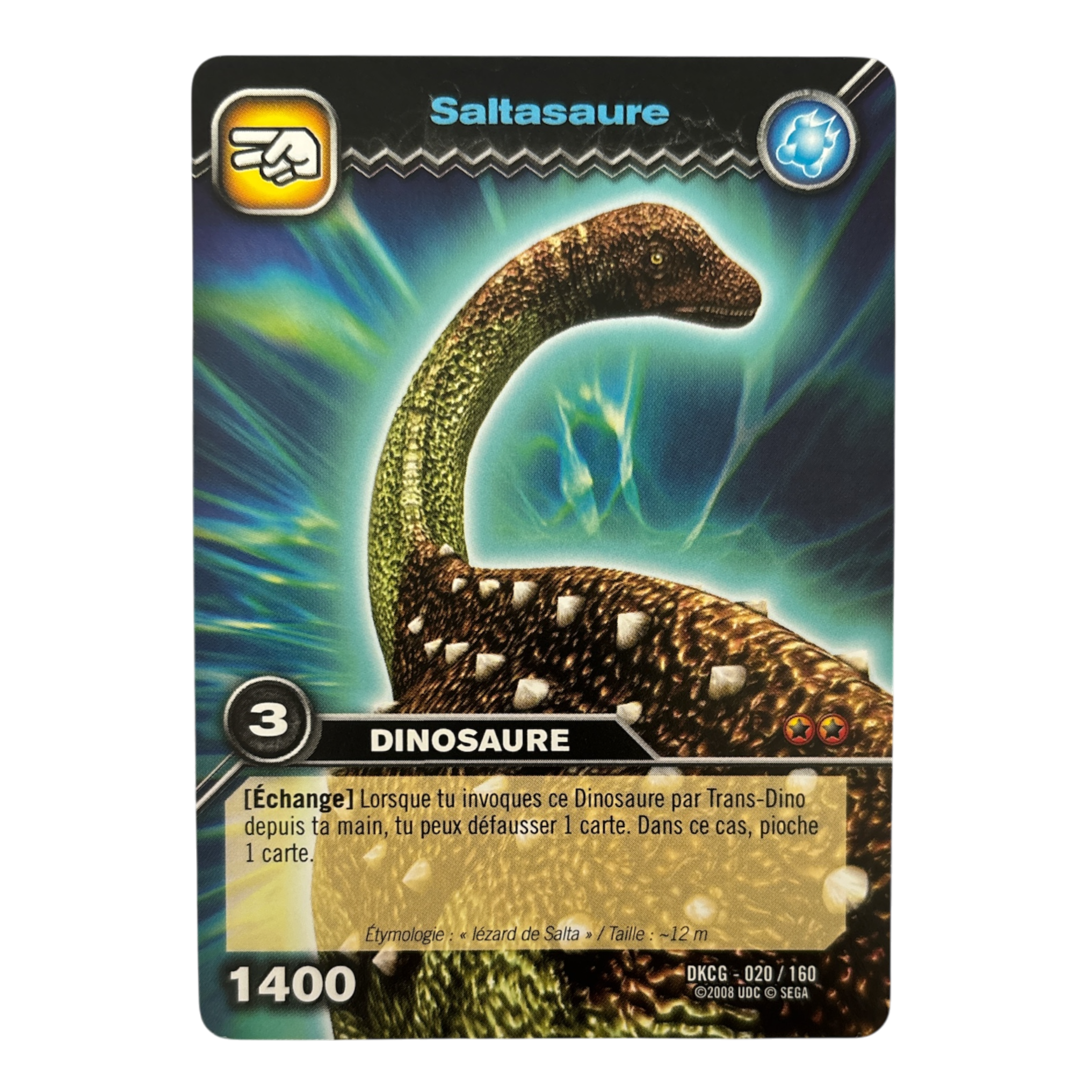 DKCG-020 Saltasaure