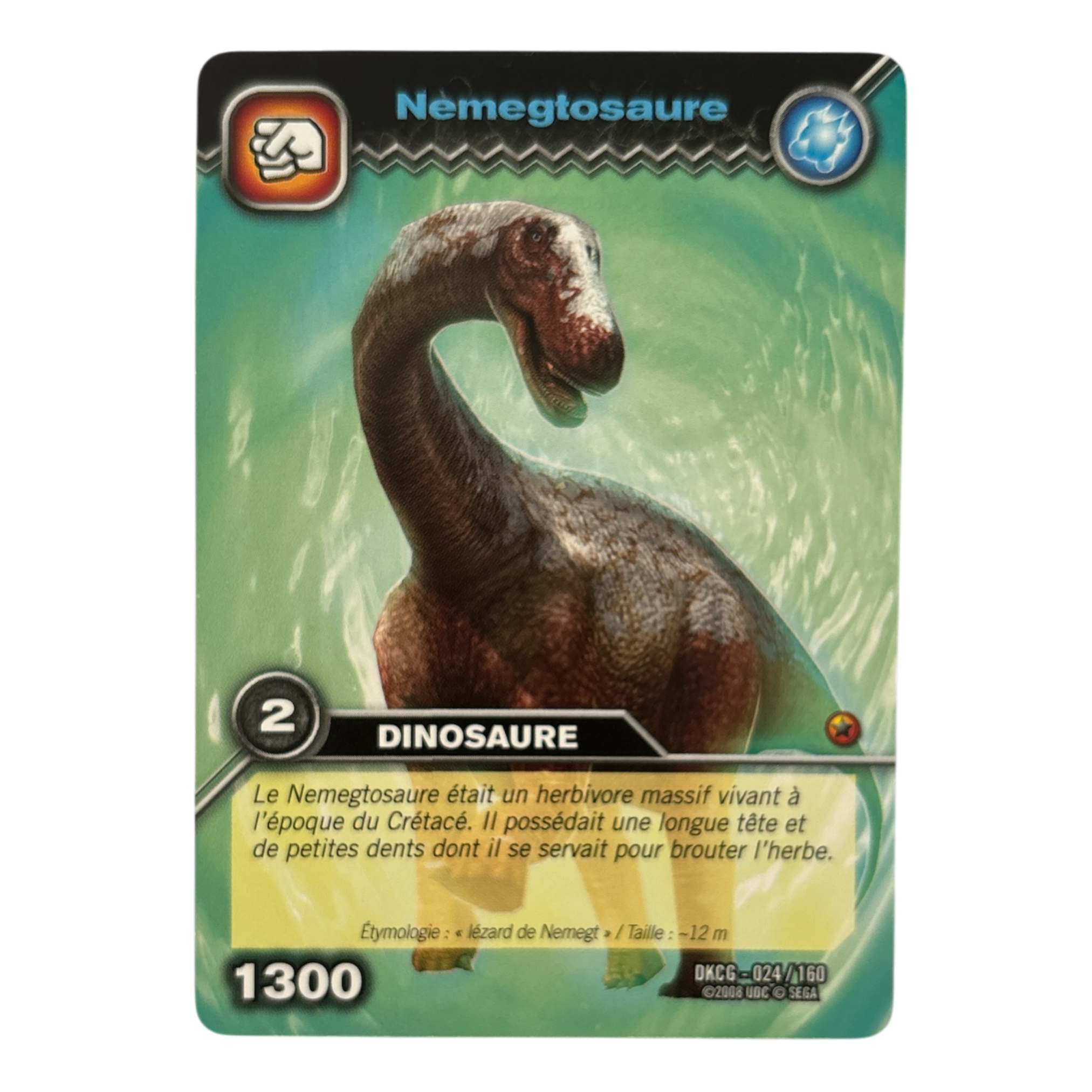 DKCG-024 Nemegtosaure