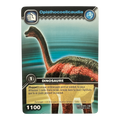 DKCG-025 Opisthocoelicaudia