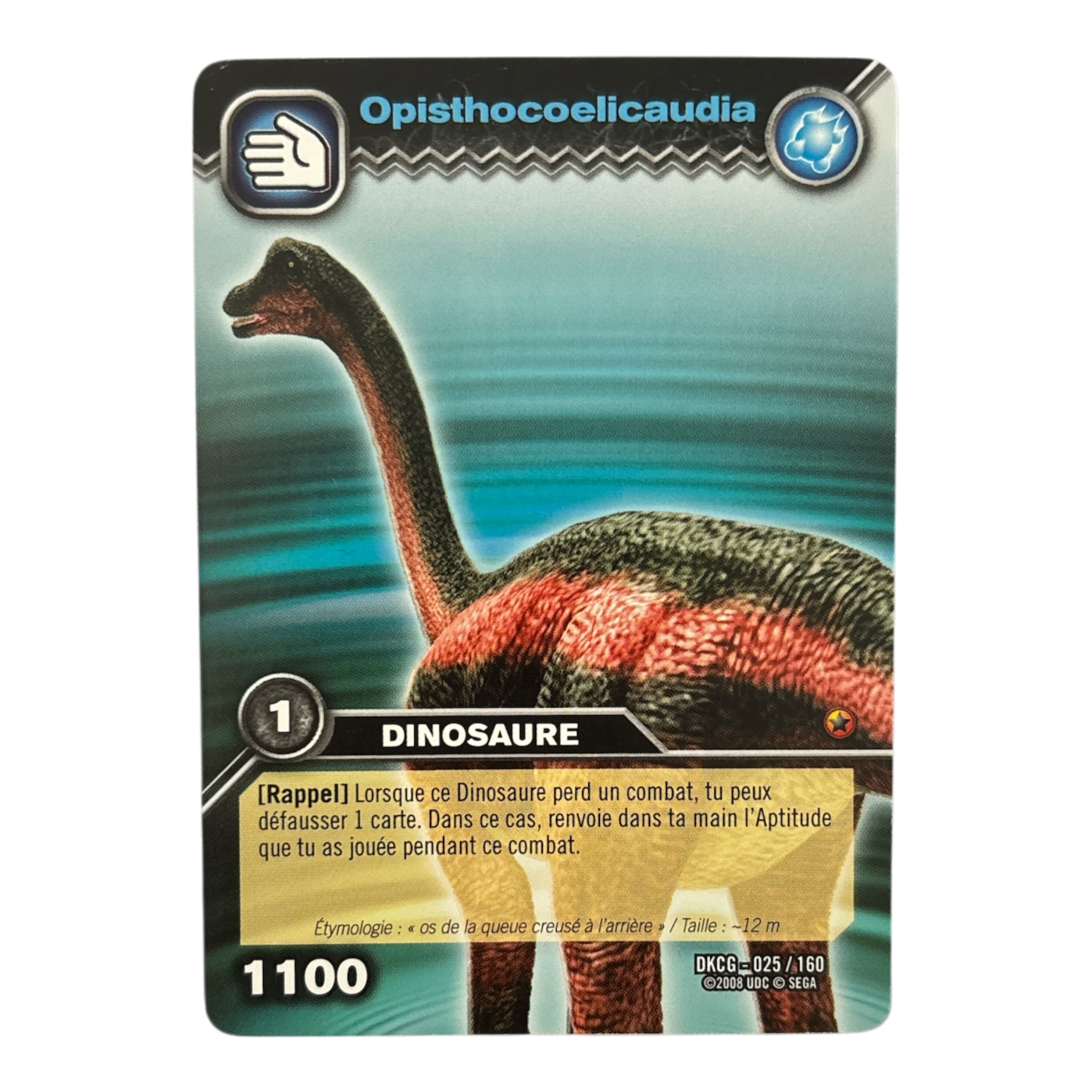 DKCG-025 Opisthocoelicaudia