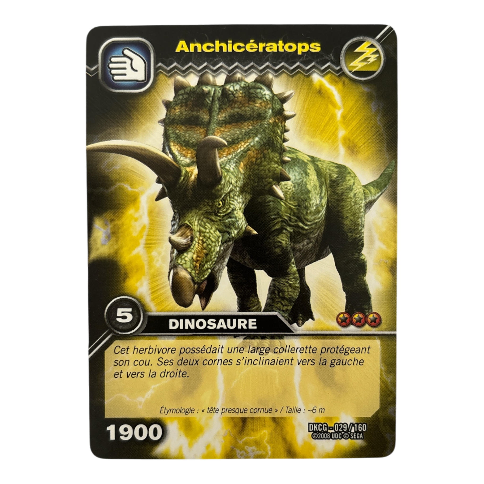 DKCG-029 Anchiceratops