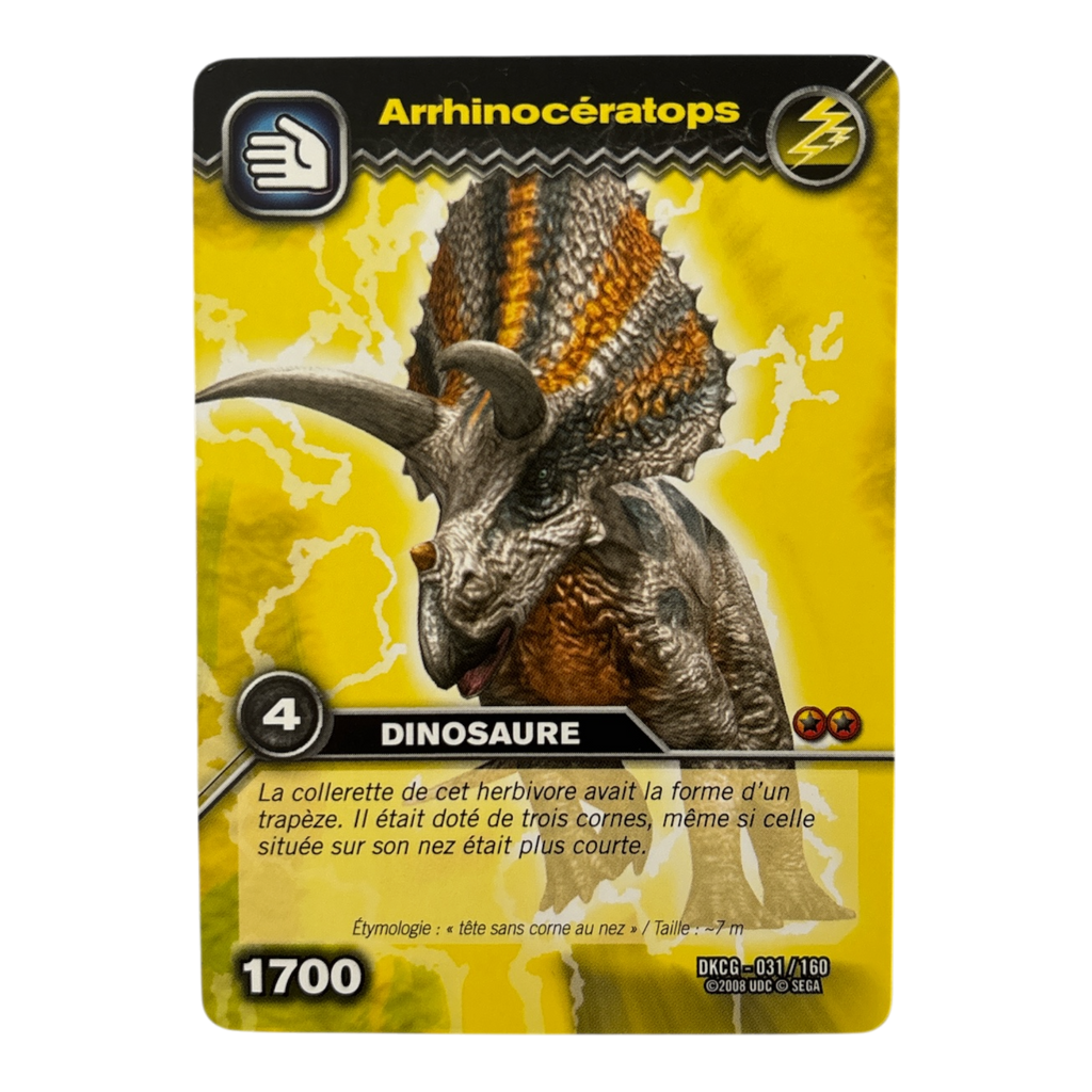 DKCG-031 Arrhinoceratops