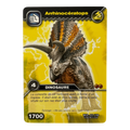 DKCG-031 Arrhinoceratops