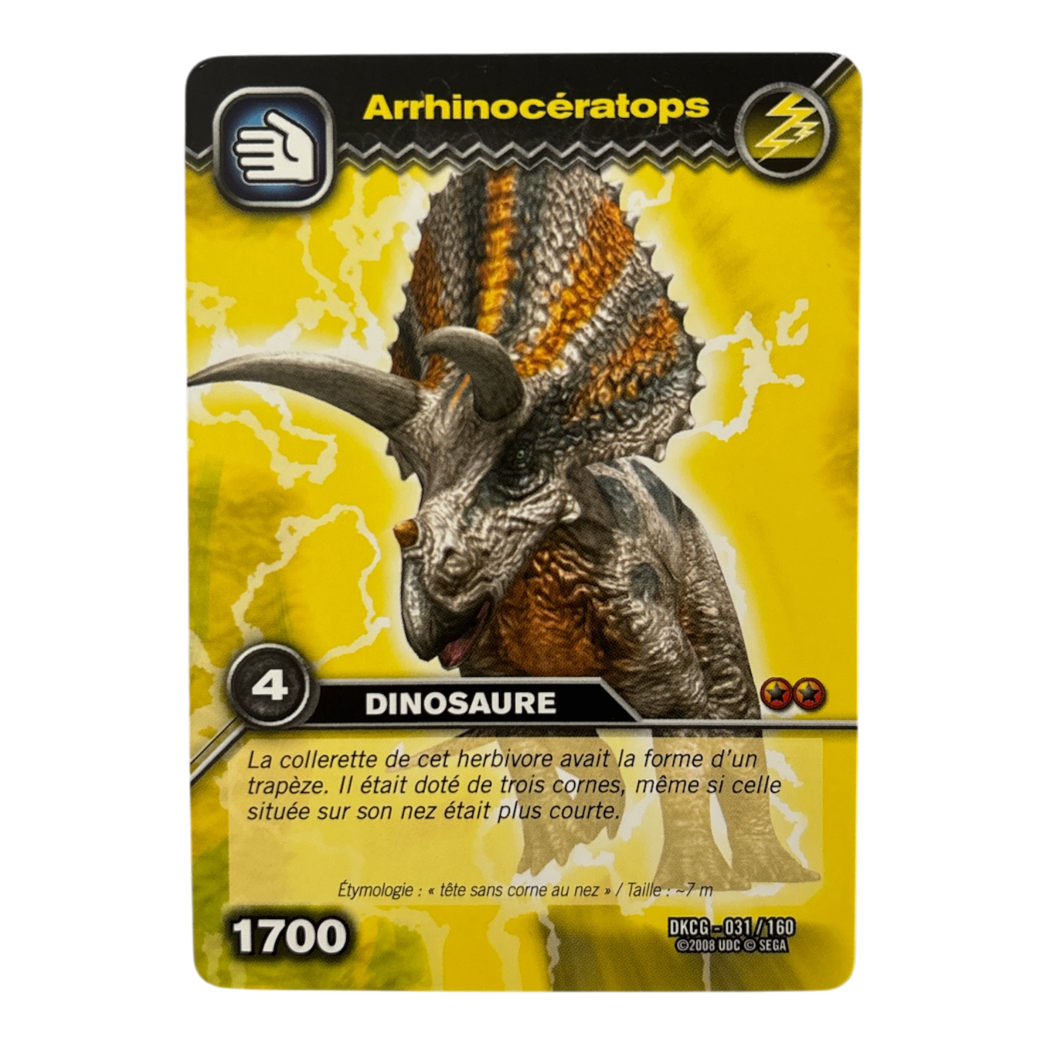 DKCG-031 Arrhinoceratops