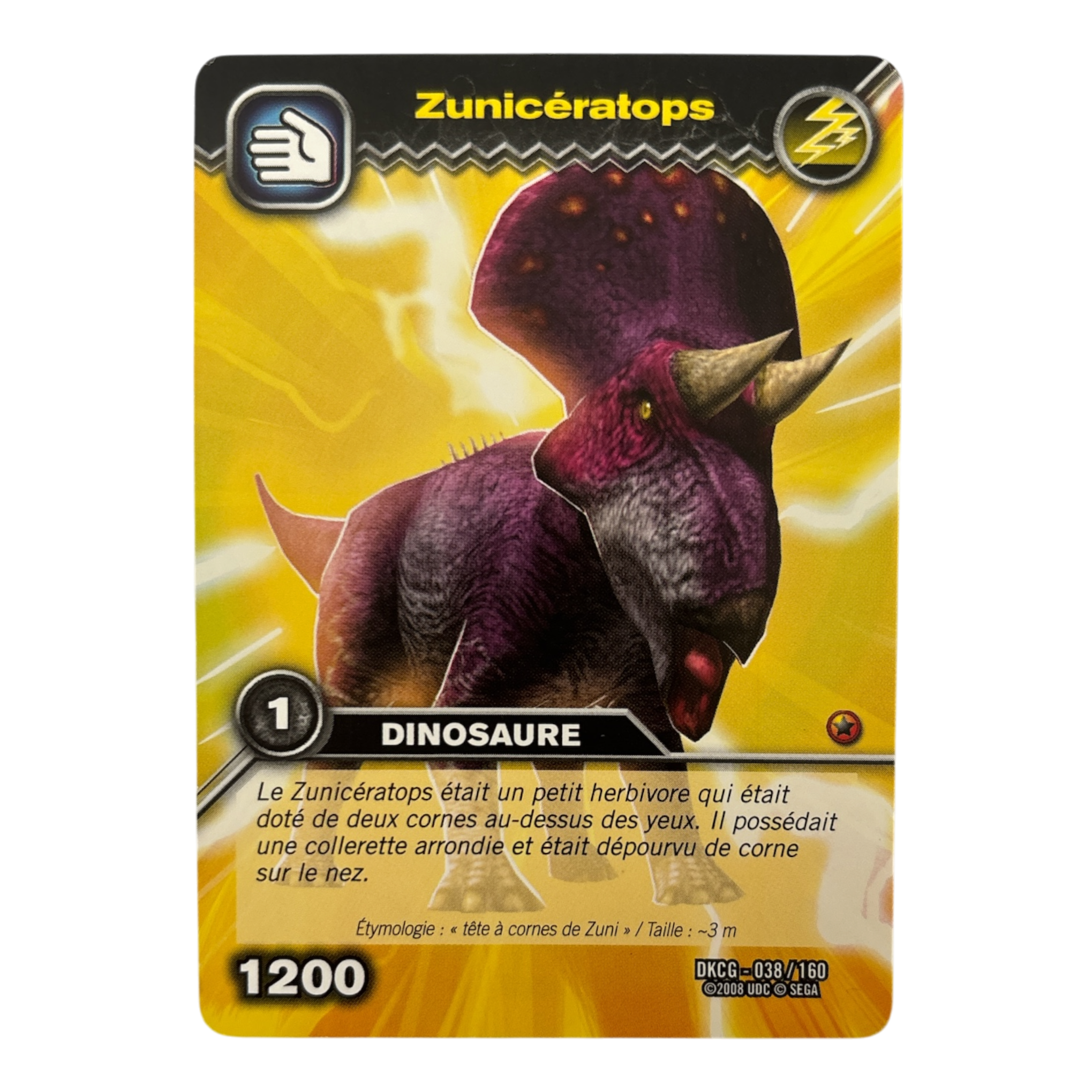 DKCG-038 Zuniceratops