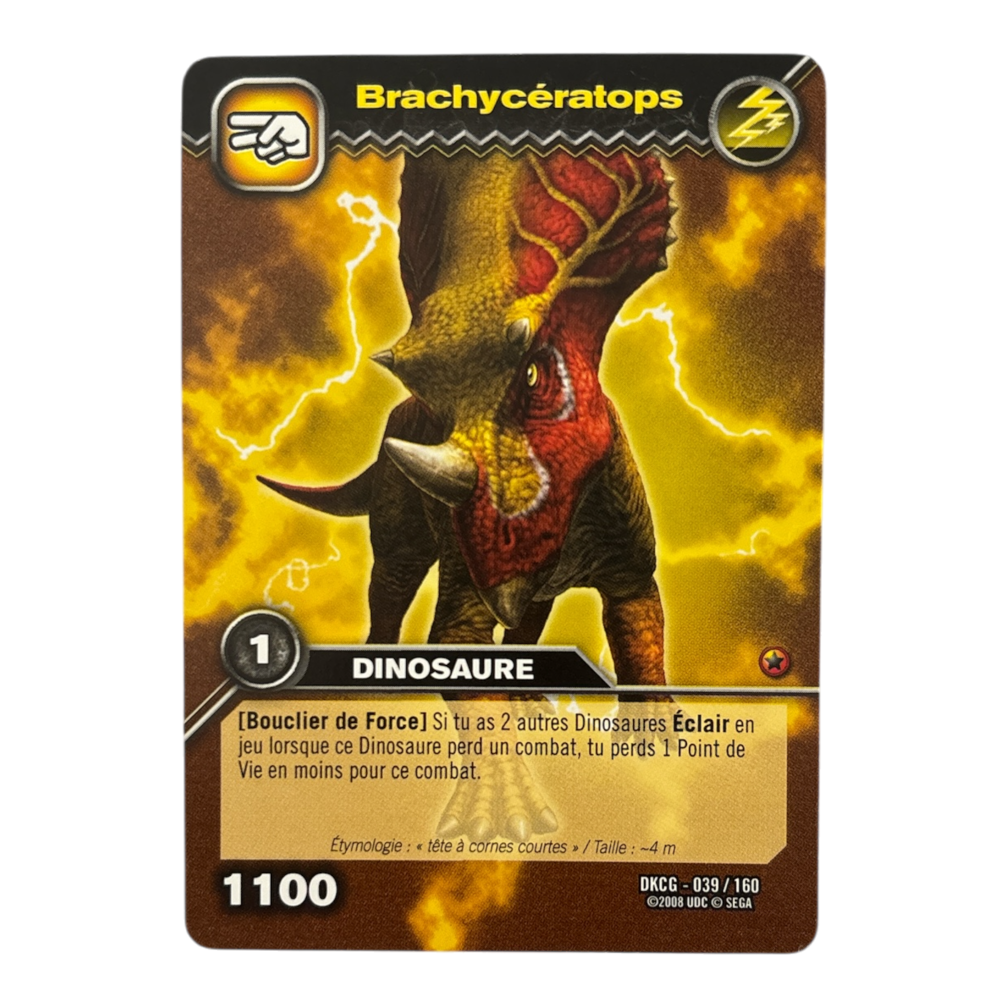 DKCG-039 Brachyceratops