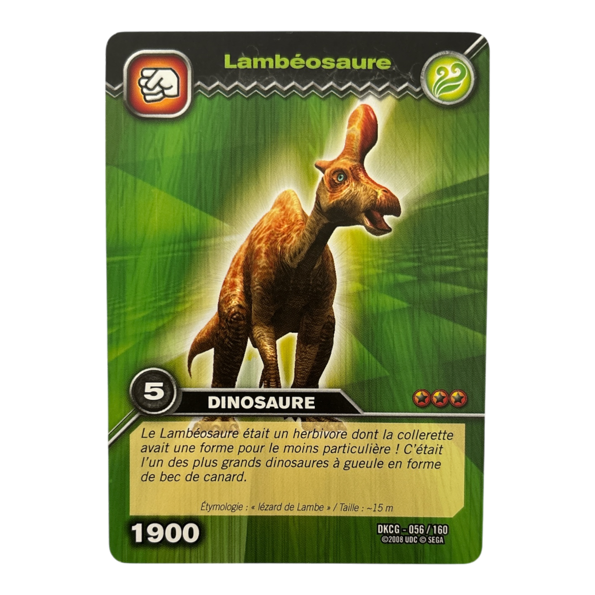 DKCG-056 Lambeosaure