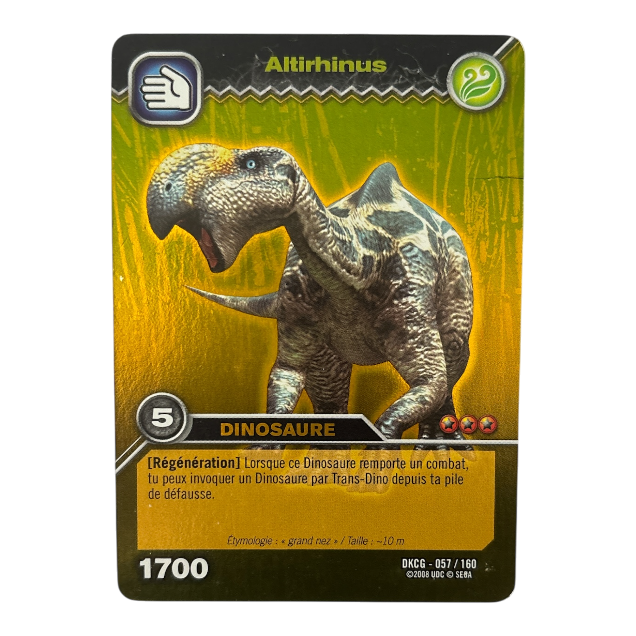 DKCG-057 Altirhinus