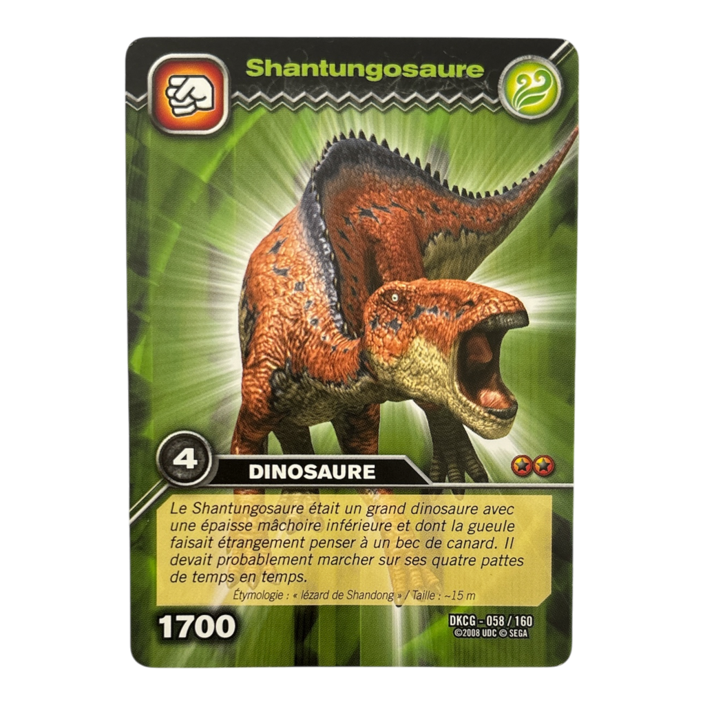 DKCG-058 Shantungosaure