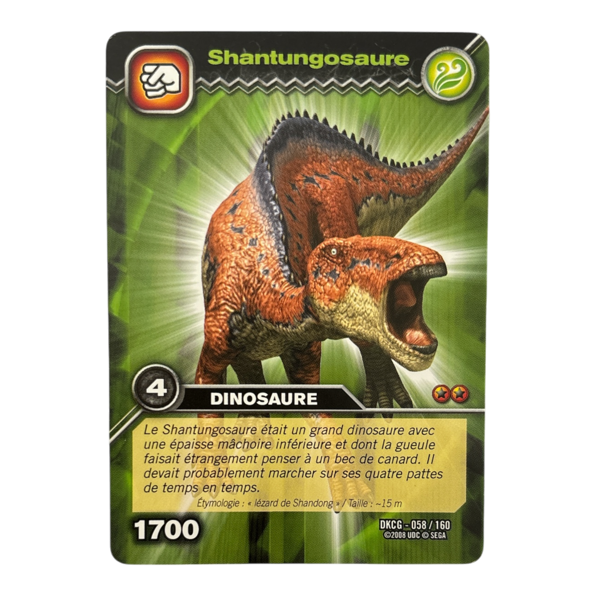 DKCG-058 Shantungosaure
