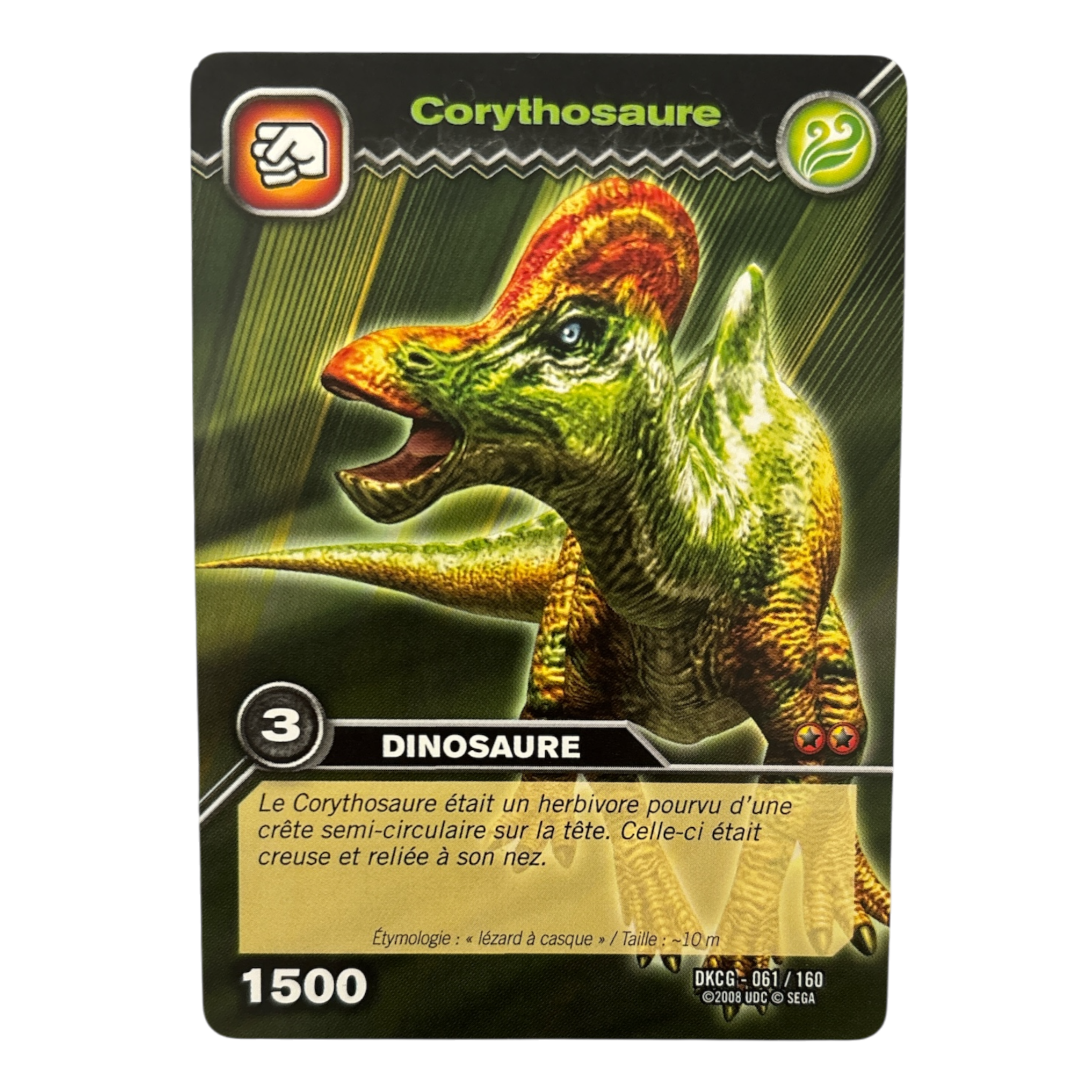 DKCG-061 Corythosaure