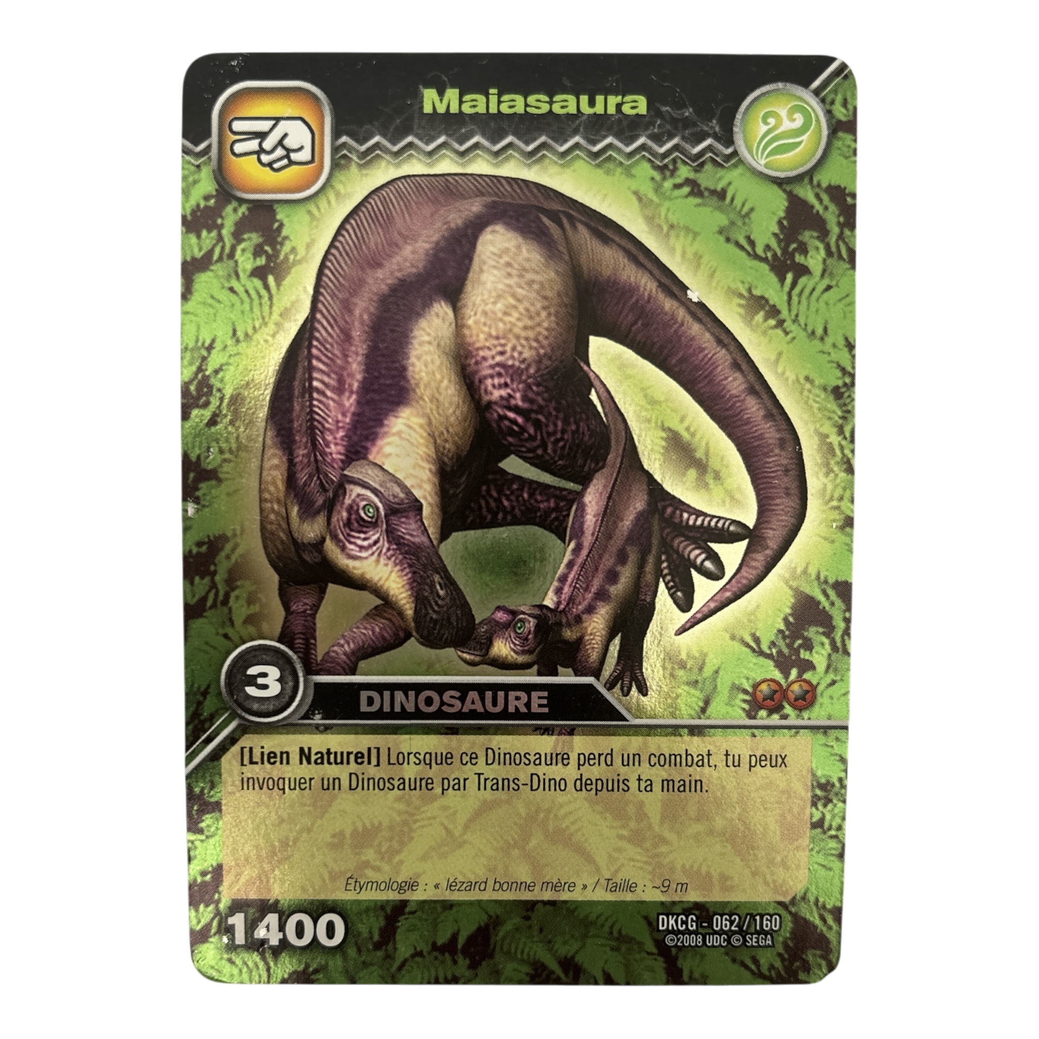 DKCG-062 Maiasaura