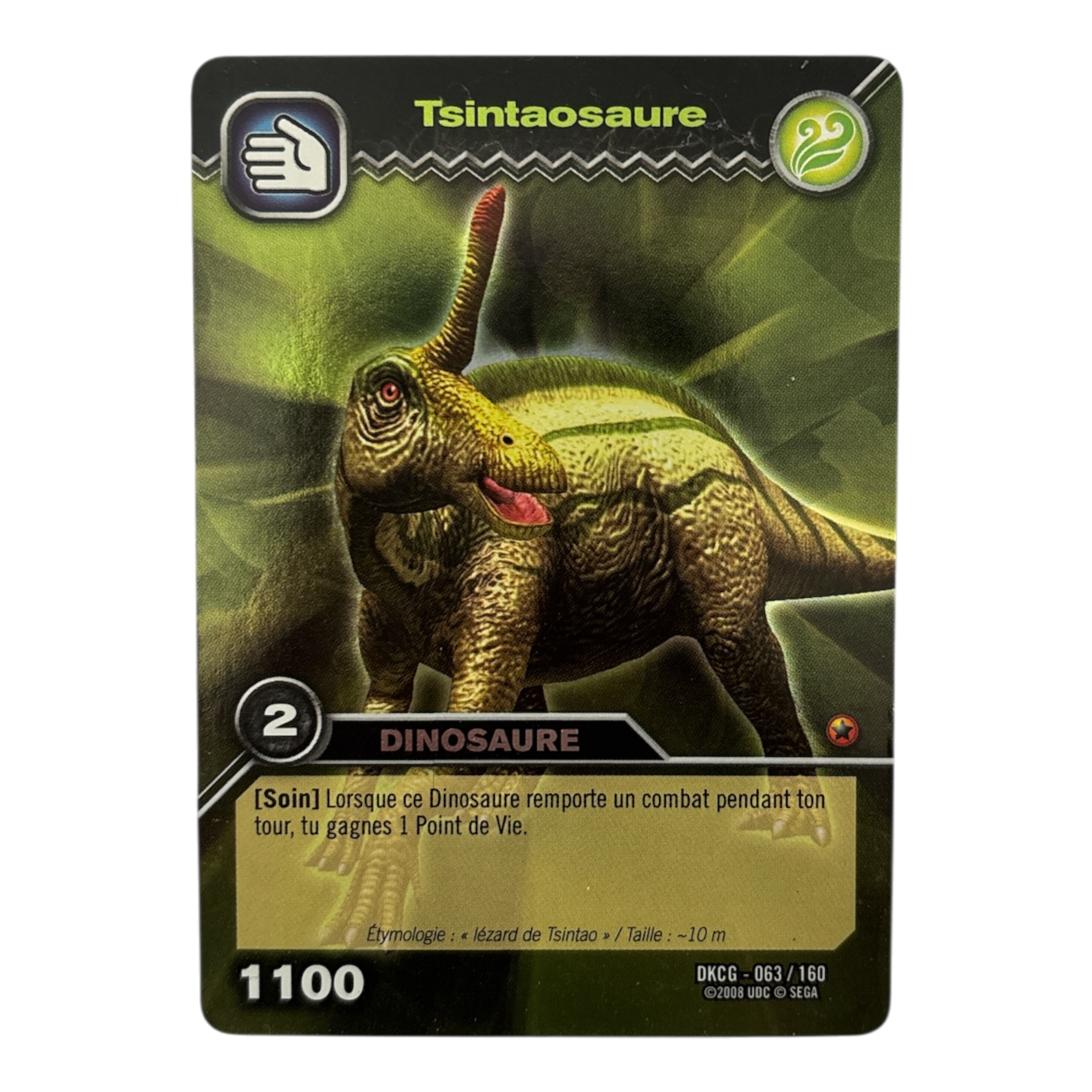 DKCG-063 Tsintaosaure