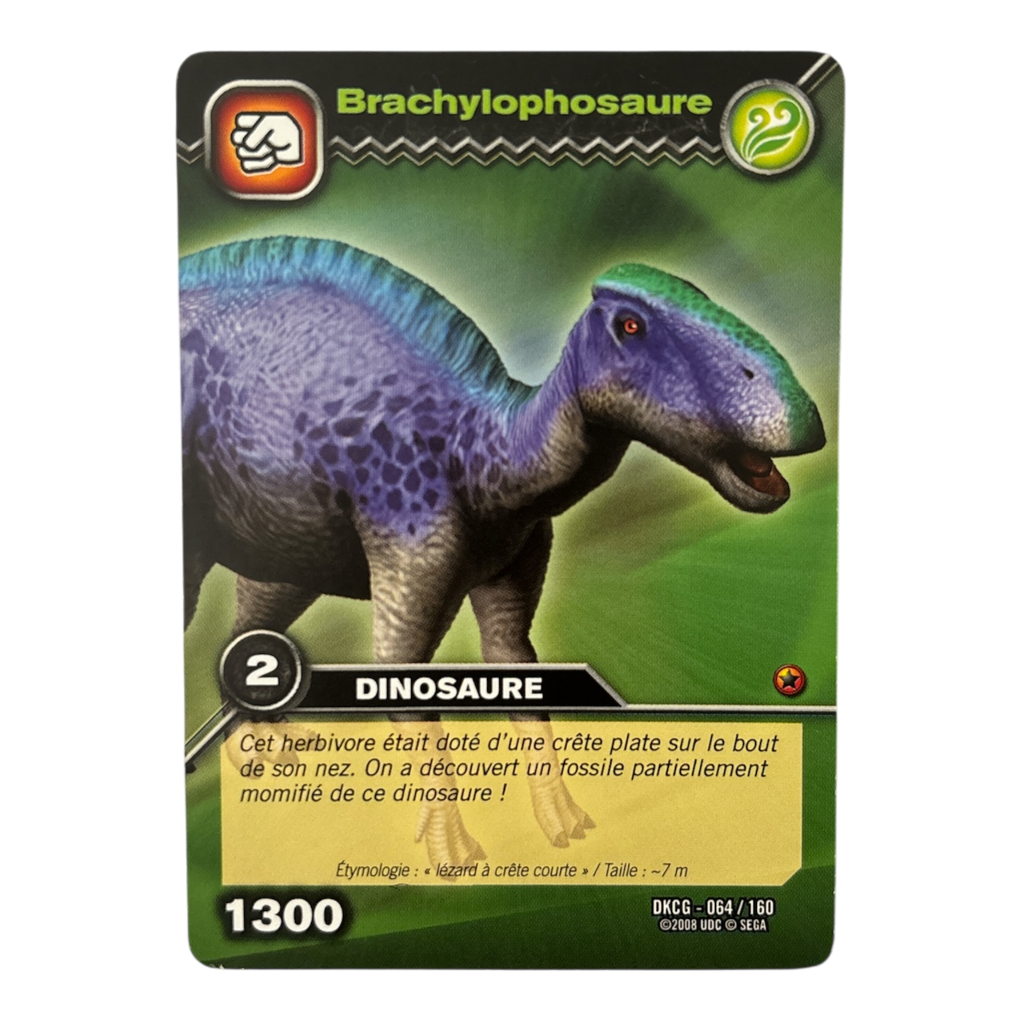 DKCG-064 Brachylophosaure