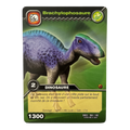 DKCG-064 Brachylophosaure