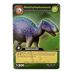DKCG-064 Brachylophosaure