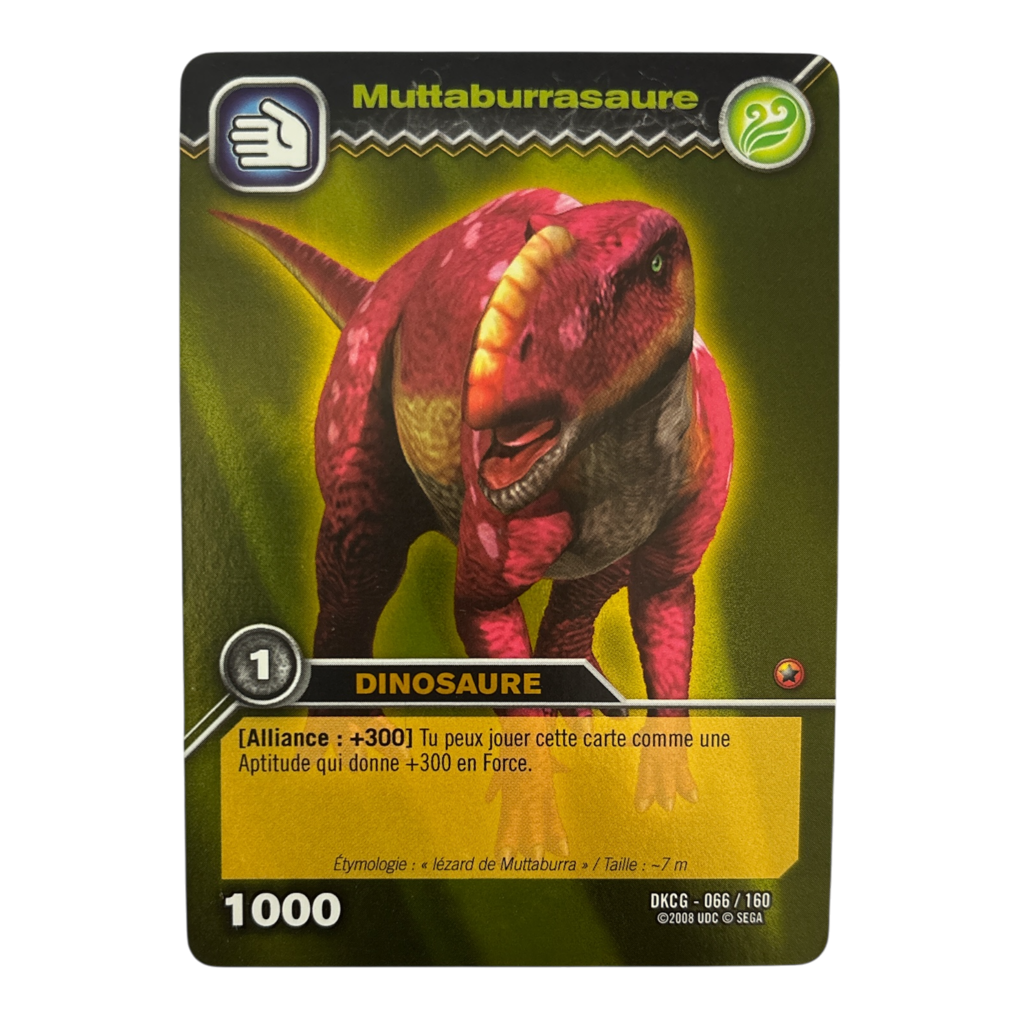 DKCG-066 Muttaburrasaure