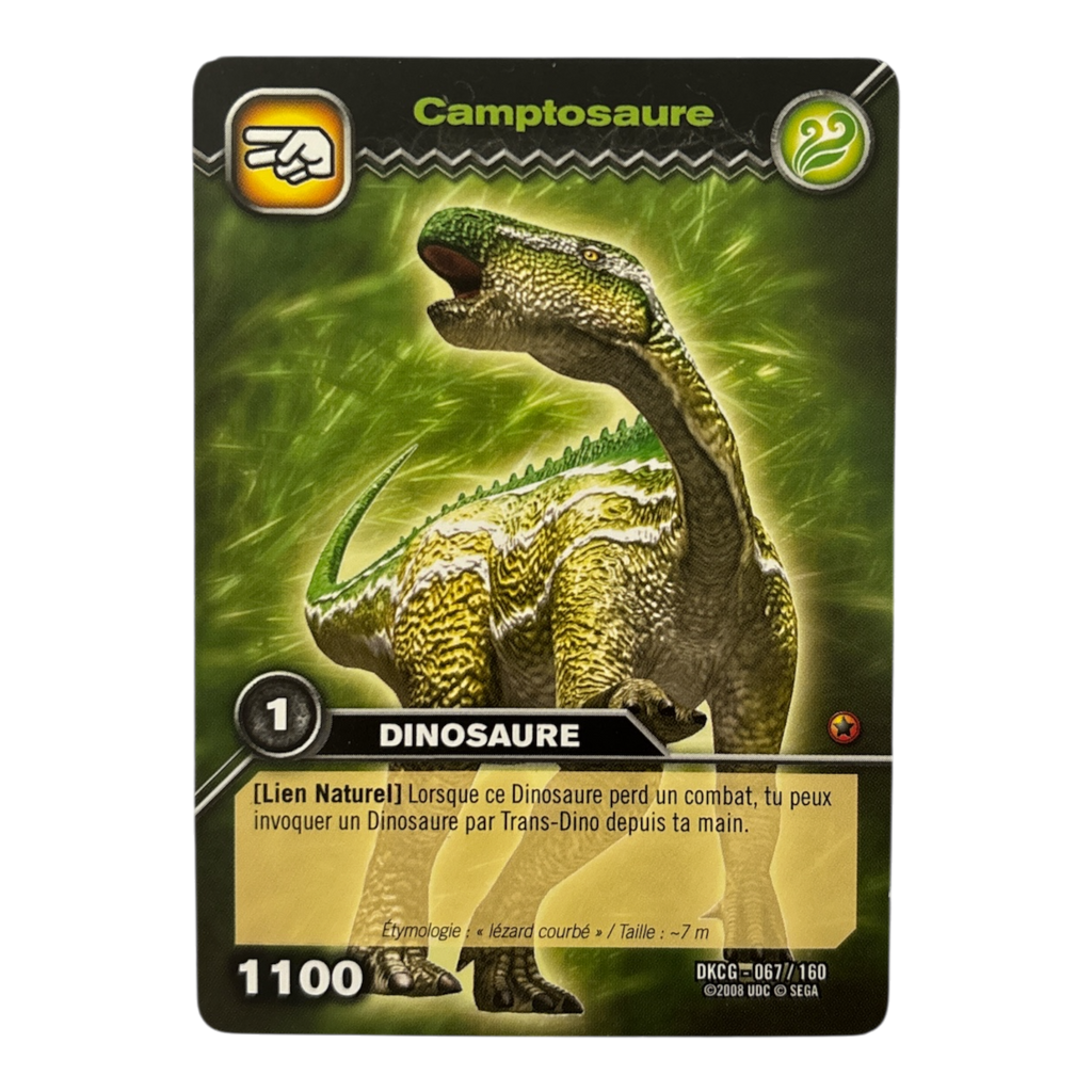 DKCG-067 Camptosaure