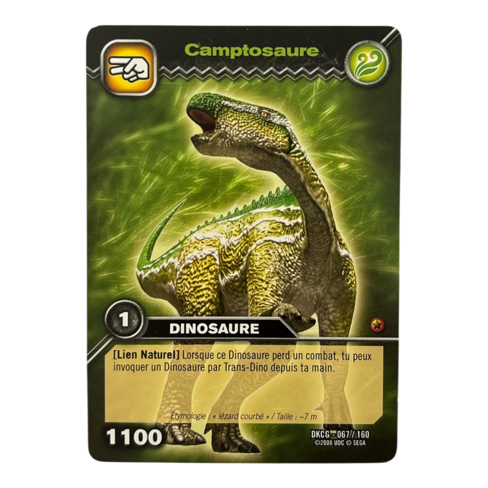 DKCG-067 Camptosaure