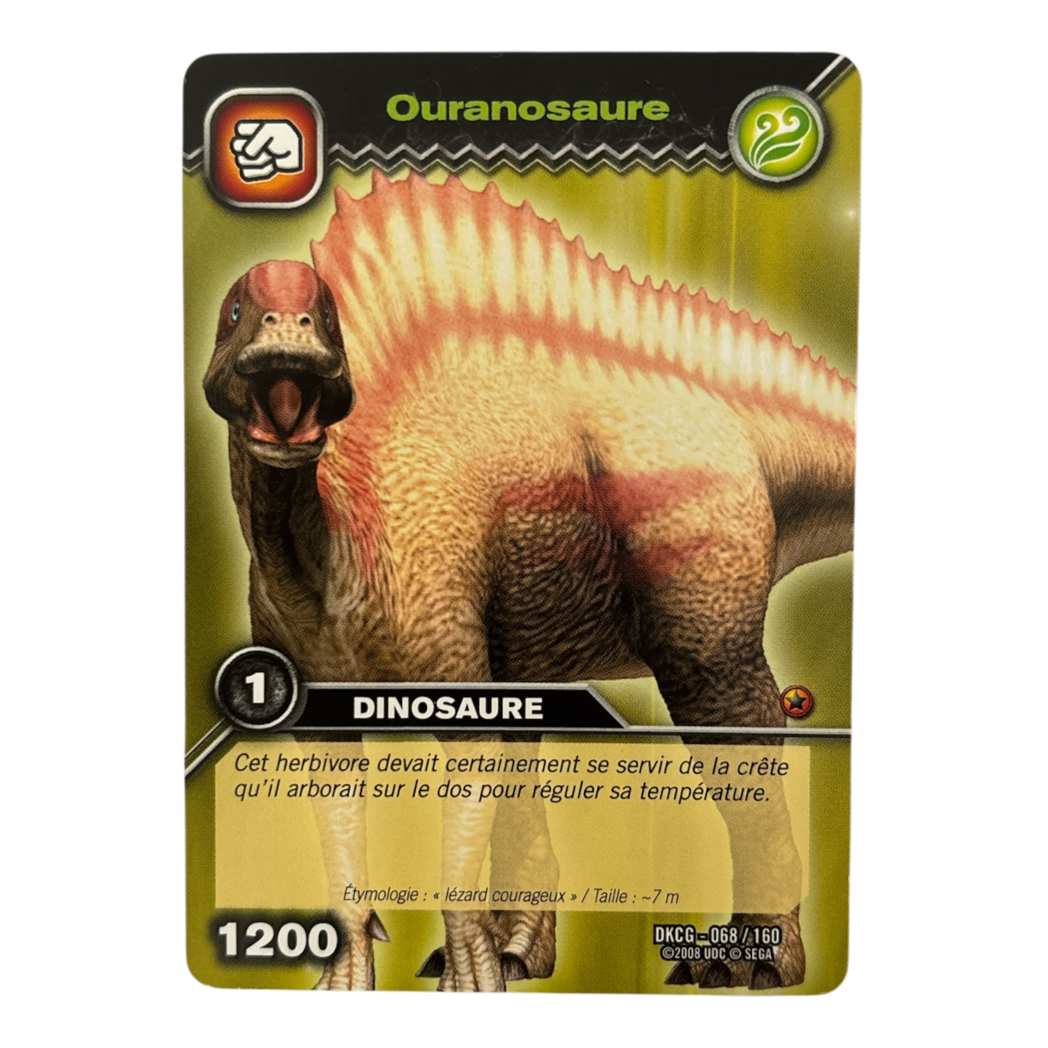 DKCG-068 Ouranosaure
