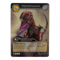 DKCG-079 Piatnitzkysaure