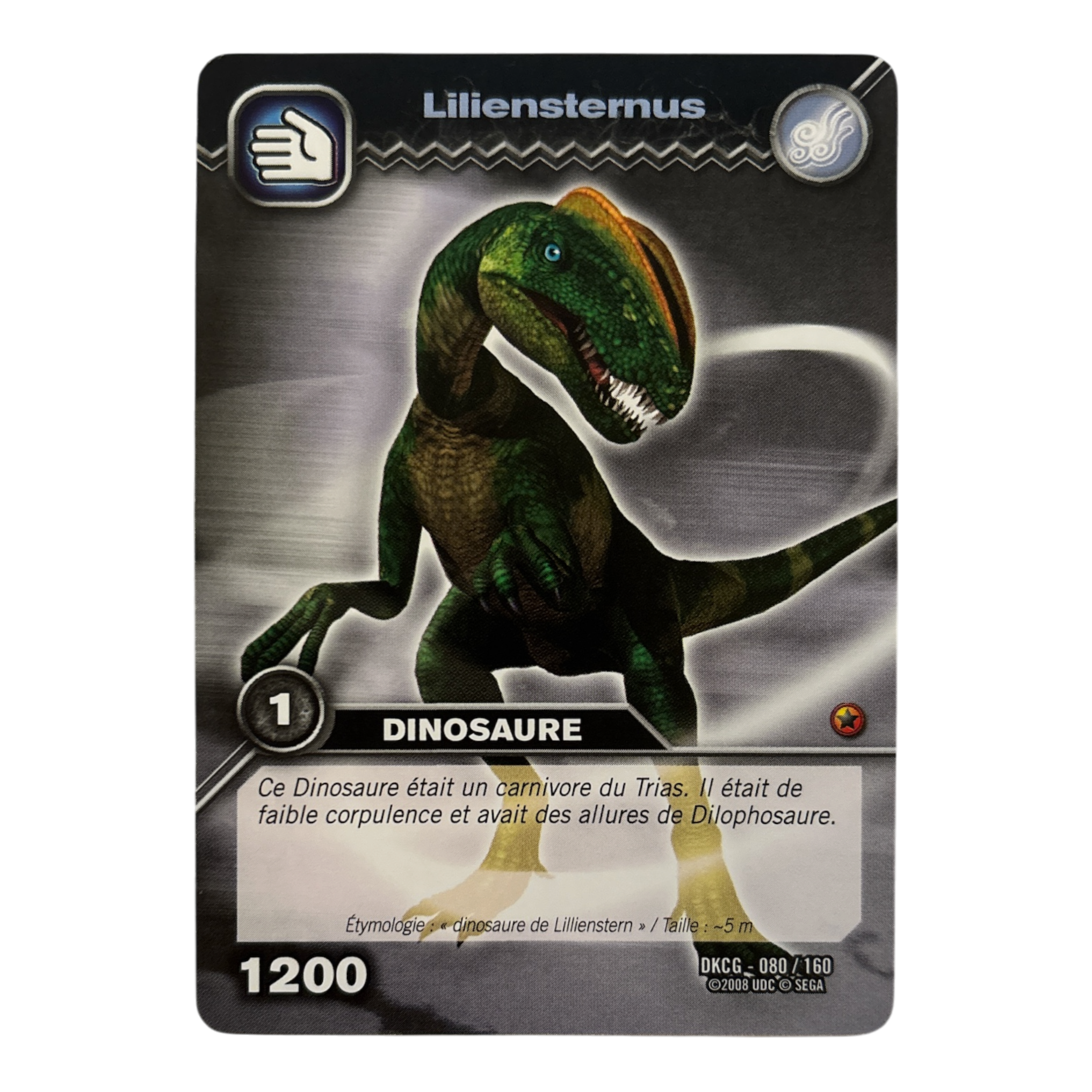 DKCG-080 Lilensternus