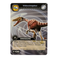 DKCG-082 Velociraptor