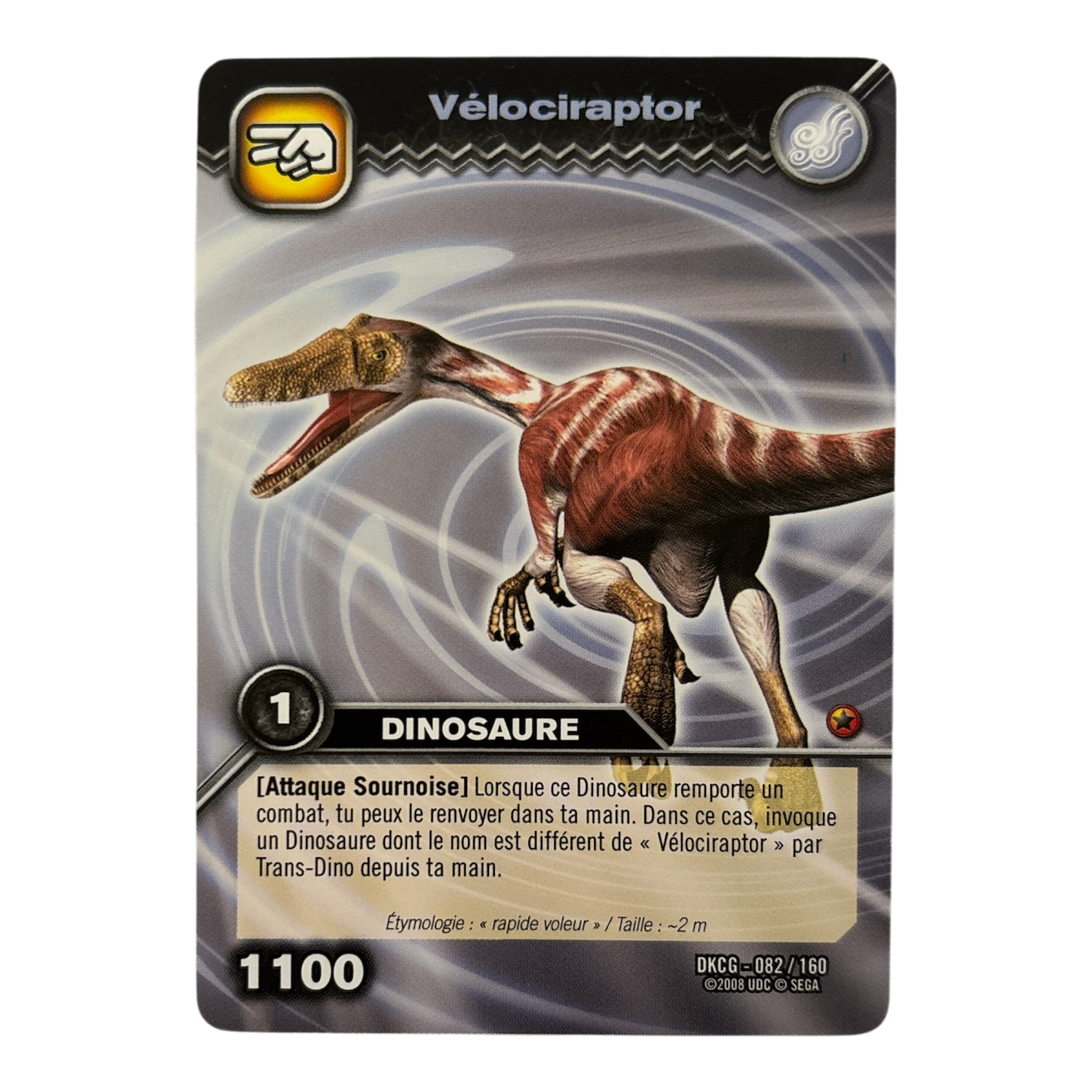 DKCG-082 Velociraptor