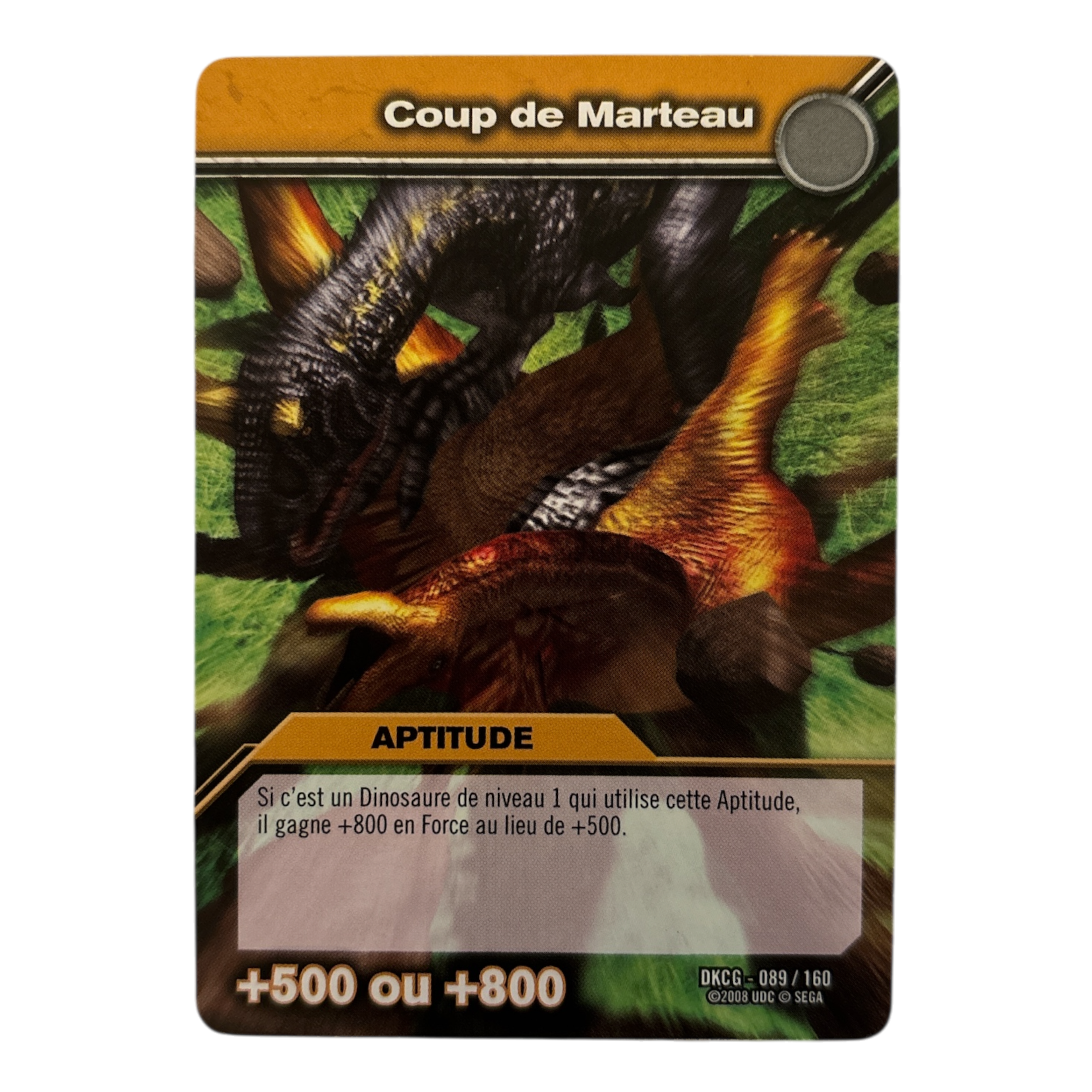 DKCG-089 Coup de Marteau
