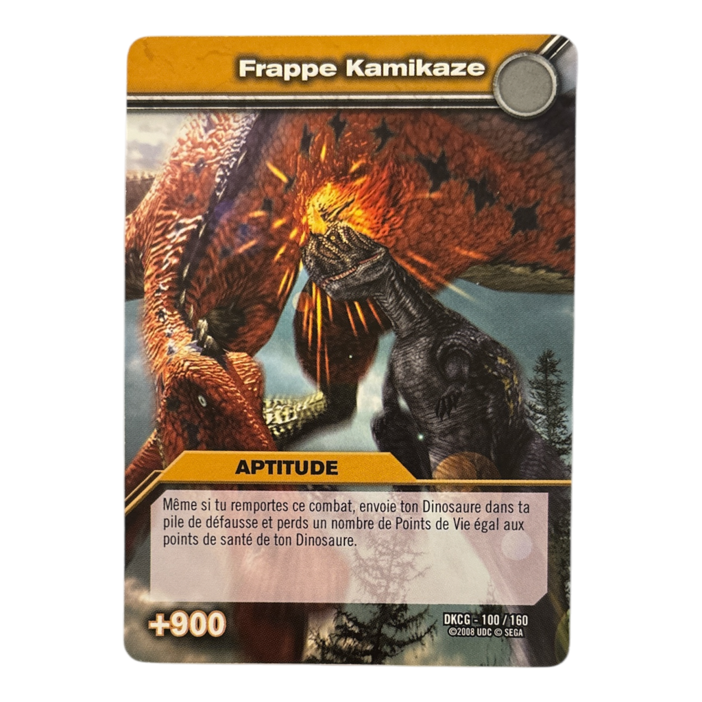 DKCG-100 Frappe Kamikaze