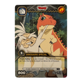 DKCG-150 Terry