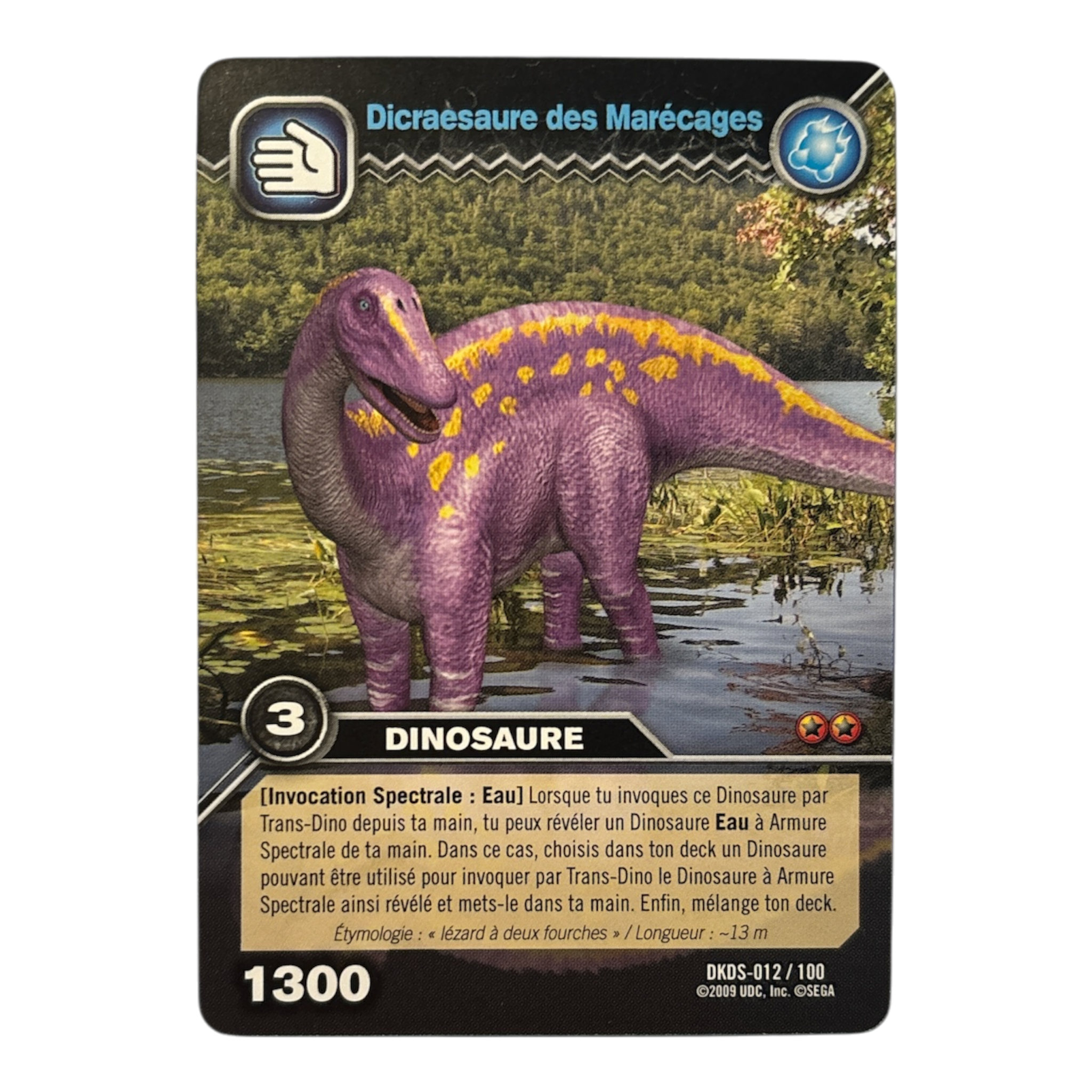 DKDS-012 Dicraesaure des Marécages