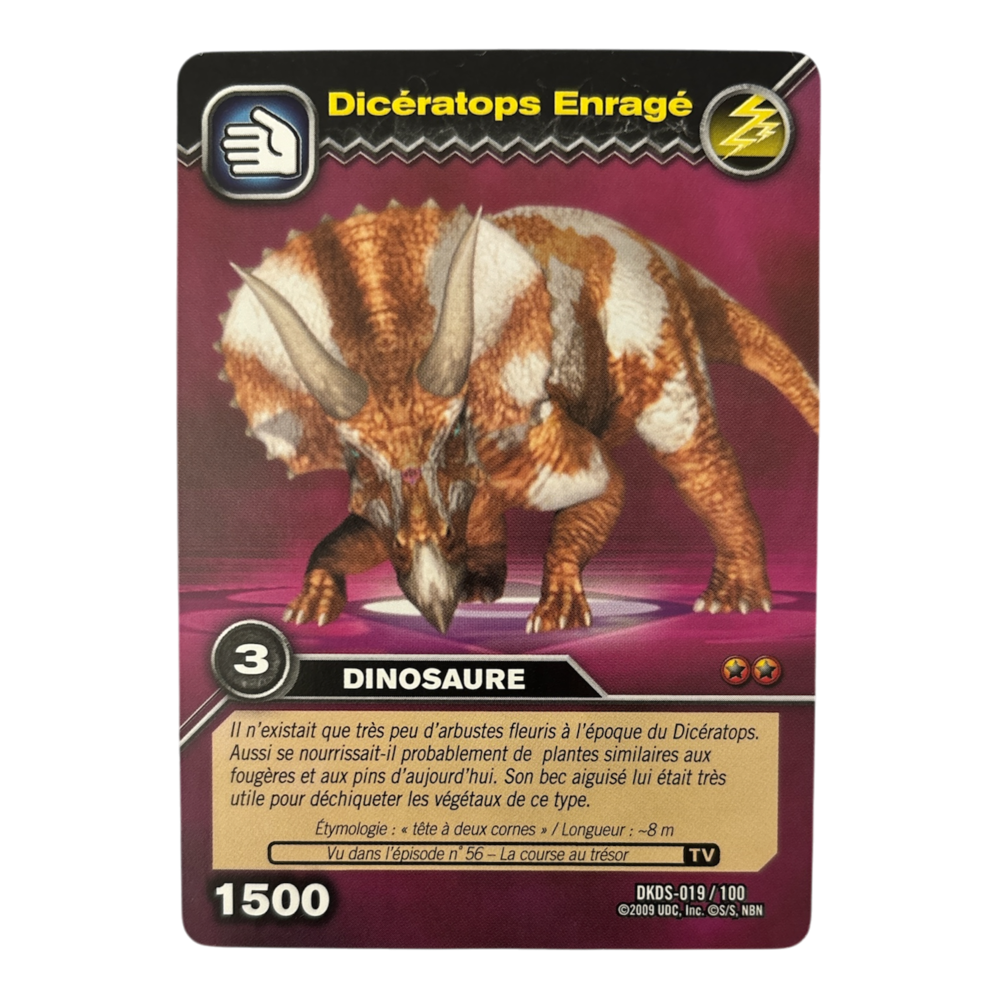 DKDS-019 Dicératops Enragé